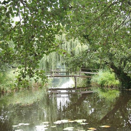 Hotel C'Est La Vie Houseboat Nederhorst den Berg Esterno foto